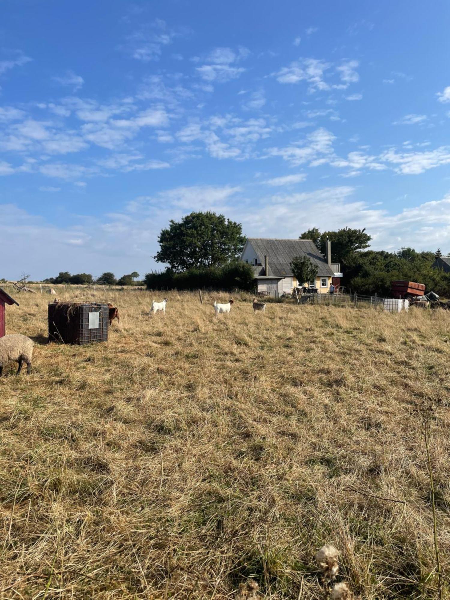 Oestermark Ærøskøbing Dış mekan fotoğraf